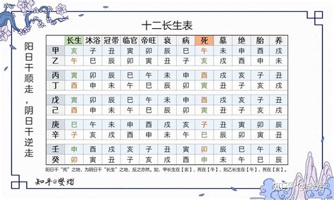 十二長生|十二长生表、十二长生的含义与用法详解